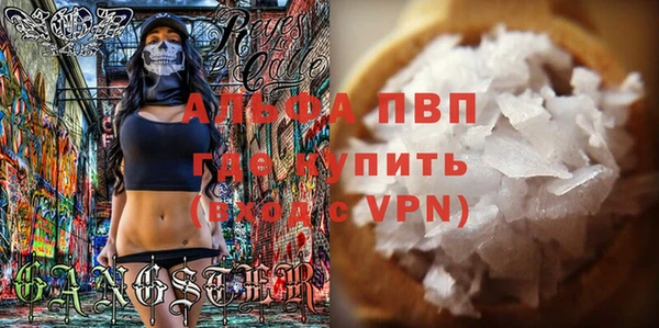 гашик Алексин