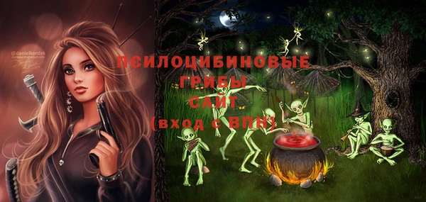 дурь Арсеньев