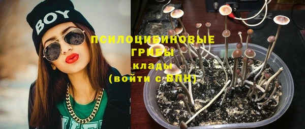 гашик Алексин